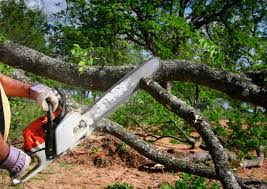 Best Landscape Design and Installation  in Stonewall, MS